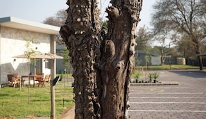 Parco della struttura