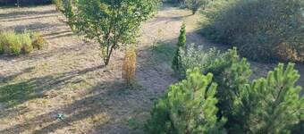 Guesthouse "GoraTwins" near Boryspil airport