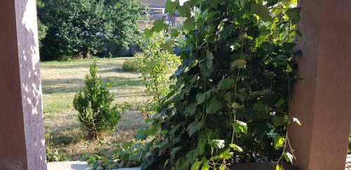 Gästehaus "GoraTwins" in der Nähe des Flughafens Boryspil