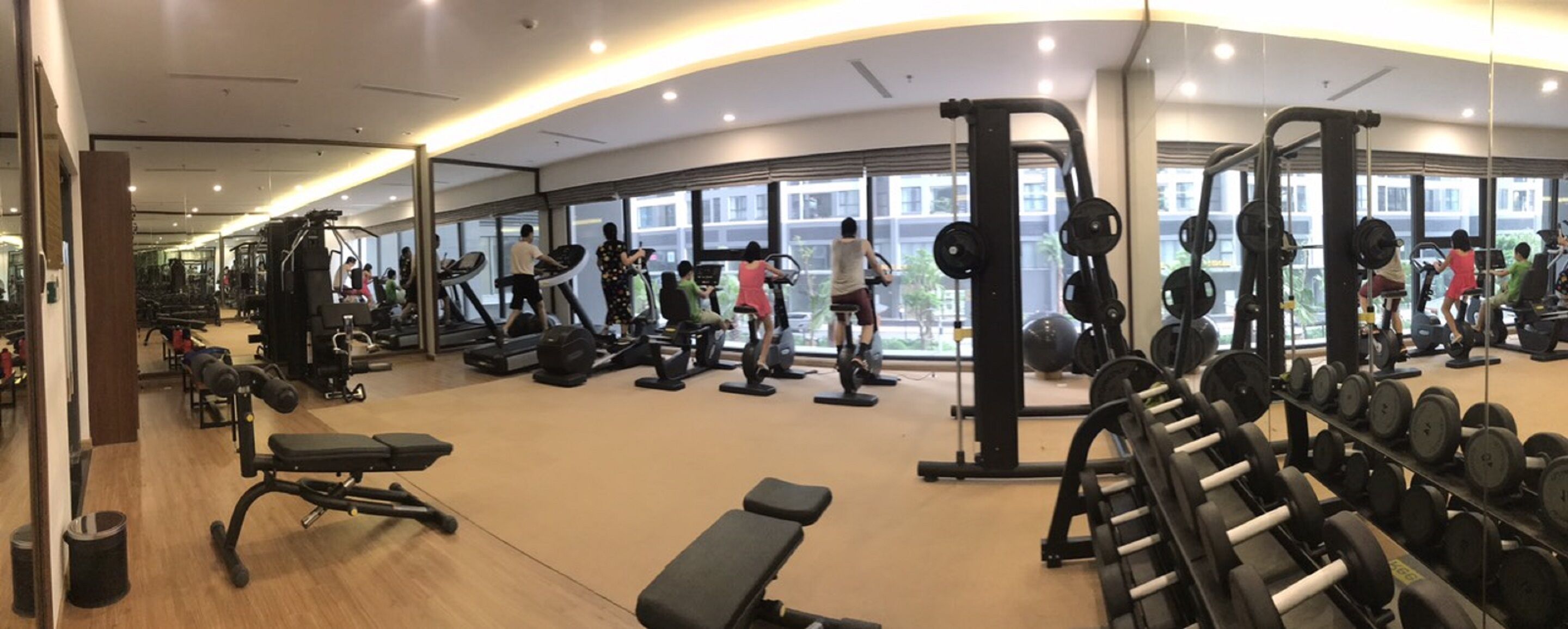 A gym with treadmills, weight machines, and free weights.