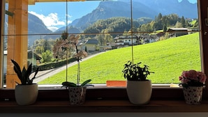 Une fenêtre offre une vue sur une vallée verdoyante, des montagnes et des maisons. Trois plantes en pot sont posées sur le rebord de la fenêtre.