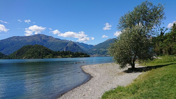 Un llac amb una platja de pedres i un arbre a la dreta.
