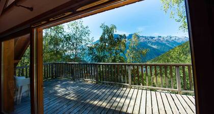 Oz/Alpe d'Huez 200m pistes, jusqu'Ă 25pers, Jacuzzi, chambres avec salle de bain