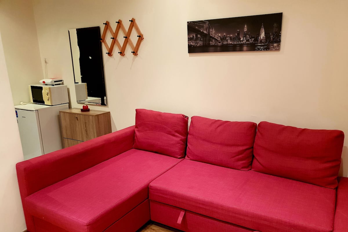 Standard Apartment (Max 3) | Living area | Flat-screen TV, DVD player