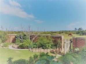 حديقة