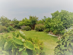 Garden view - Stoneridge Farm (Plettenberg Bay)