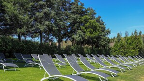 Rows of sun loungers on a grassy field with trees in the background.
