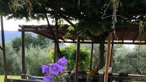Property grounds - Casa Corbezzolo (Teolo)