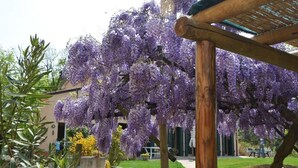 Property grounds - Casa Corbezzolo (Teolo)