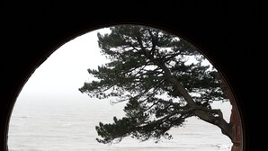 A view through a circular window of a coastal area with a large tree, a stone wall, and a wooden fence. - charming villa, exceptional sea view, with tuned piano, 6-8 people. (Saint-Nazaire)