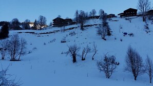 Snow and ski sports - Appartementhaus Saalbach (Saalbach-Hinterglemm)