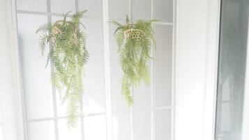 Two hanging plants in a room with a large window.