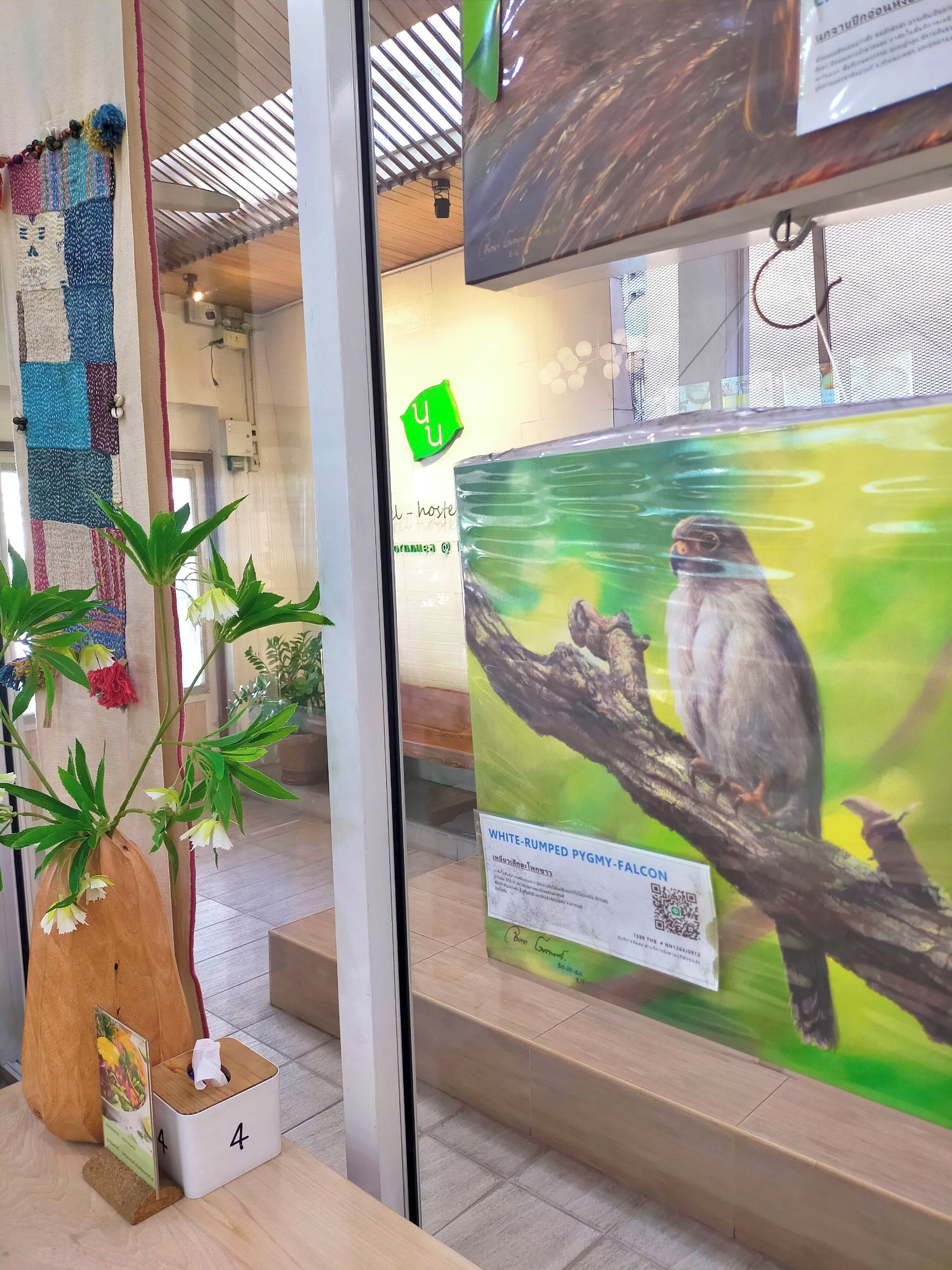 A glass display with a bird illustration and a QR code, a wooden plant stand, and a wall with a green sign.