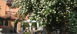 Exterior - B&B Vittoria Colonna (Marino)
