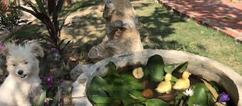 Trang An Lamia Bungalow