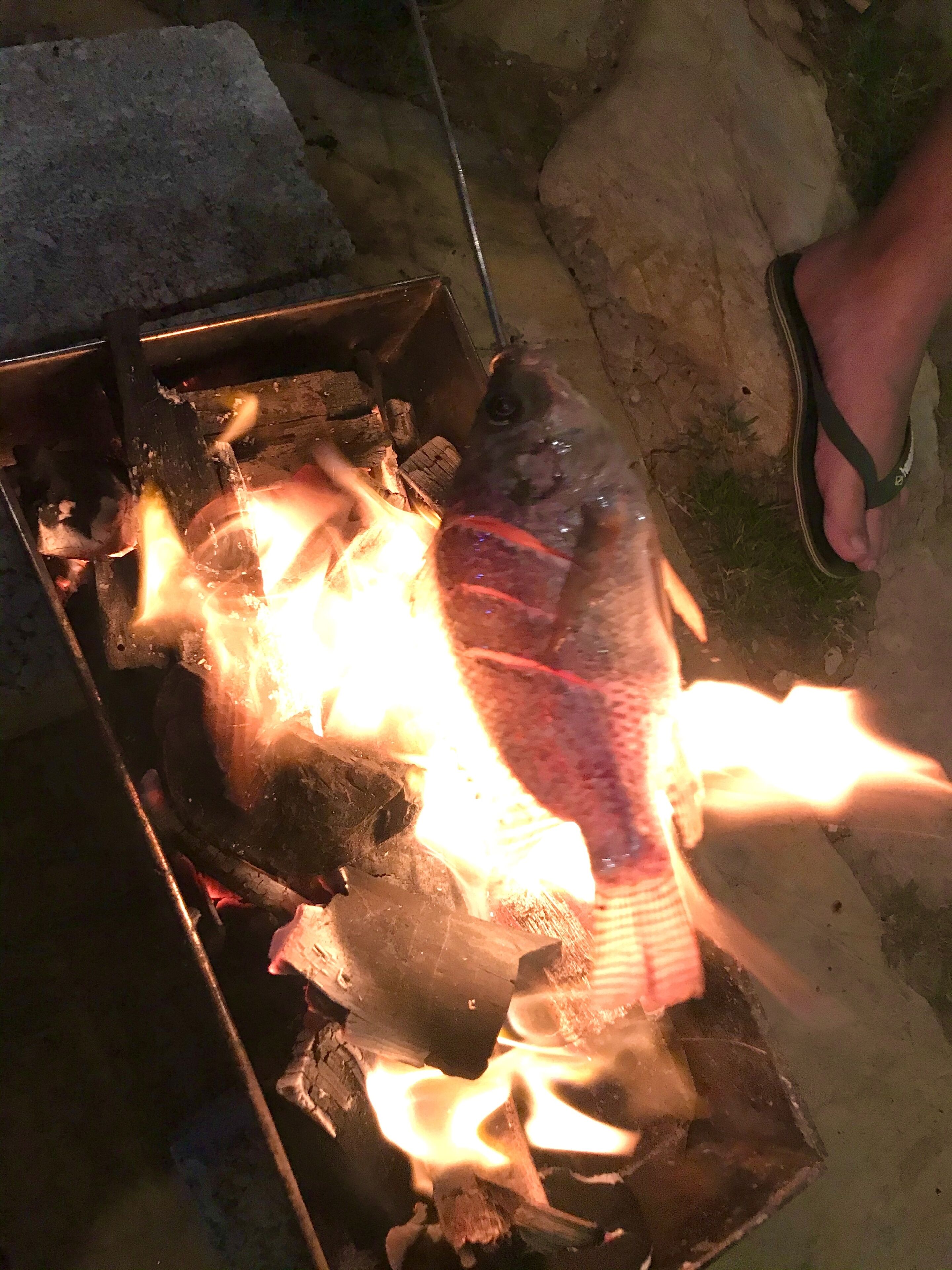 A fish grilling over an open flame.