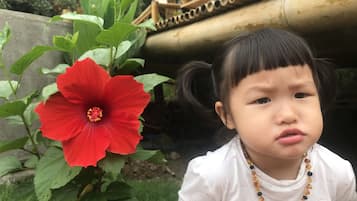 A child sitting next to a red hibiscus flower.