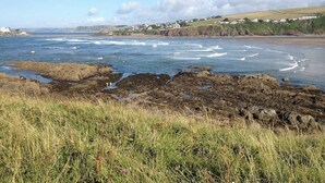 A coastal landscape with rocky shores, grassy areas, and a distant view of houses on a hill.