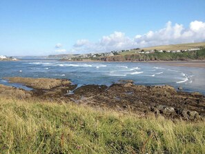 A coastal landscape with rocky shores, grassy areas, and a distant view of houses on a hill.