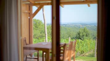 Klassiek appartement | Kameruitzicht