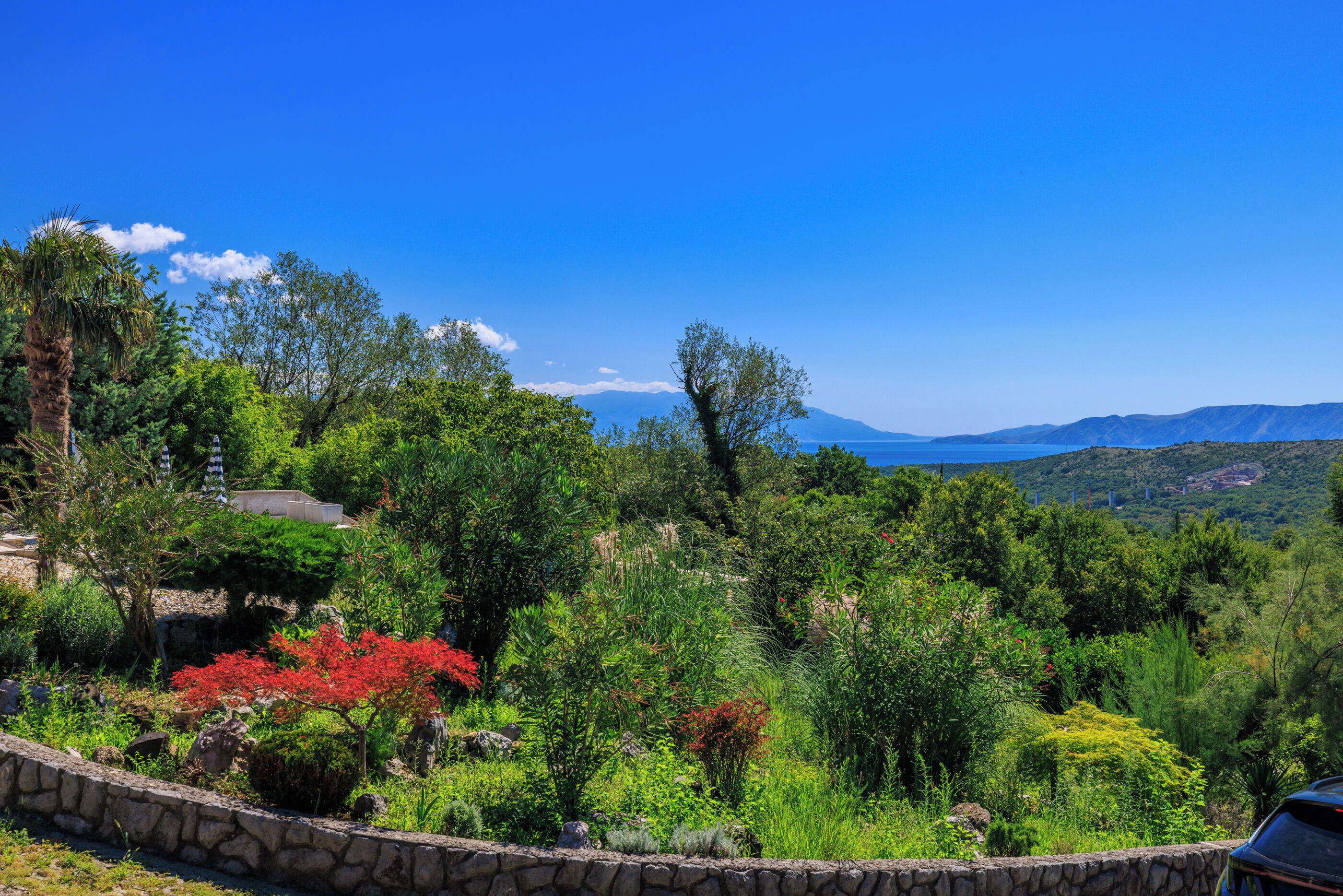 A lush garden with a stone wall, various plants, and a distant view of mountains.