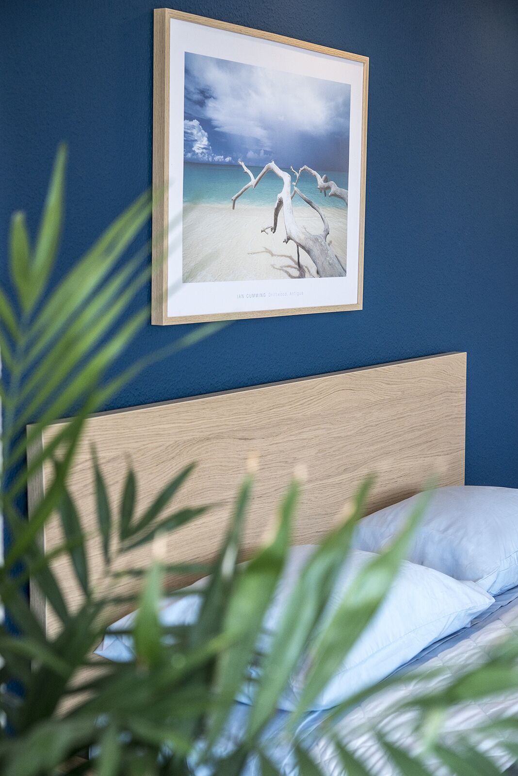 Αθήνα από το Top, Cozy Studio στο Κέντρο