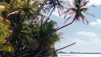 Playa en los alrededores