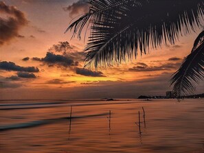 A beach scene with palm fronds silhouetted against a sunset sky. - Together Beach House (Ahangama)