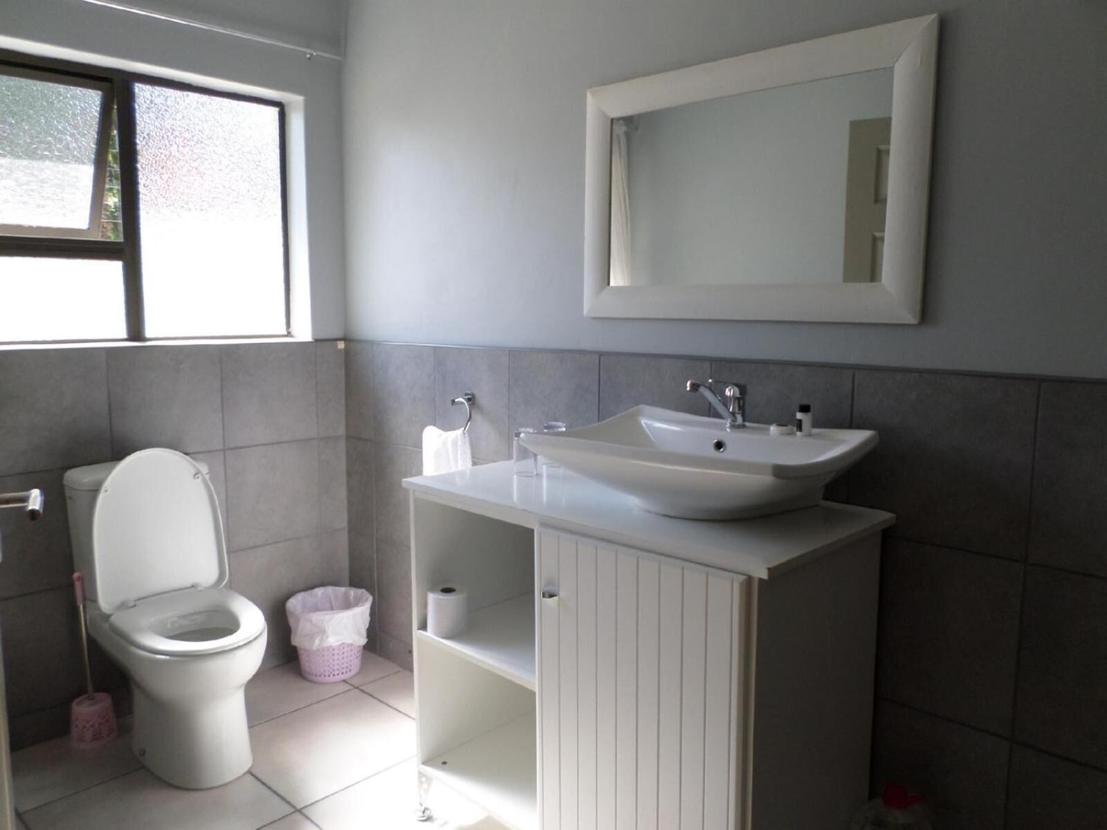 A bathroom with a toilet, sink, and mirror.
