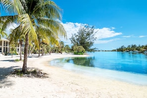 A beach with clear blue water, palm trees, and a building with a pool. - Seaside Dreams: Contemporary Oasis on Bio-Bay With Two Free Kayaks (Cayman Kai)