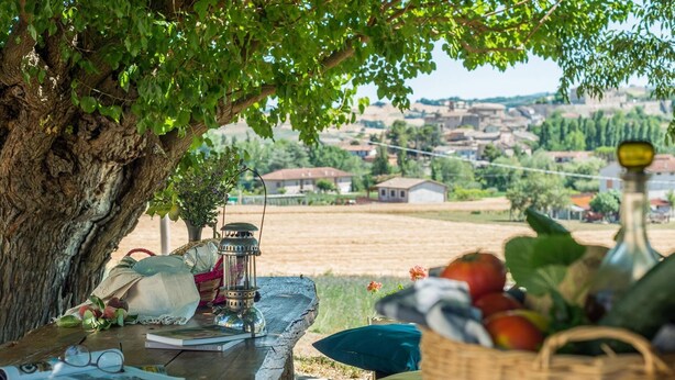 A picnic table under a tree with a view of a village, a lantern, and a basket of fruit.