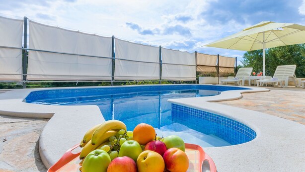A swimming pool with a fruit bowl in the center, surrounded by lounge chairs and a covered area. - Villa Holiday Home Zvečanje (Zvecanje)