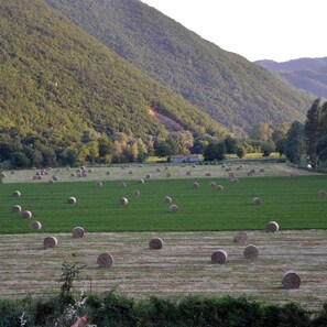 Exterior - Agriturismo Sant'Erasmo (Castel Sant'Angelo)