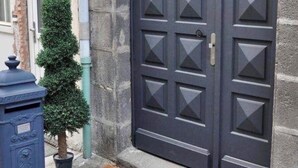 Una puerta doble con un diseño geométrico, un pequeño árbol en maceta y un buzón.