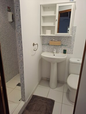 Shower, hair dryer, toilet paper - Studio in the countryside surrounded by horses (Dives-sur-Mer)