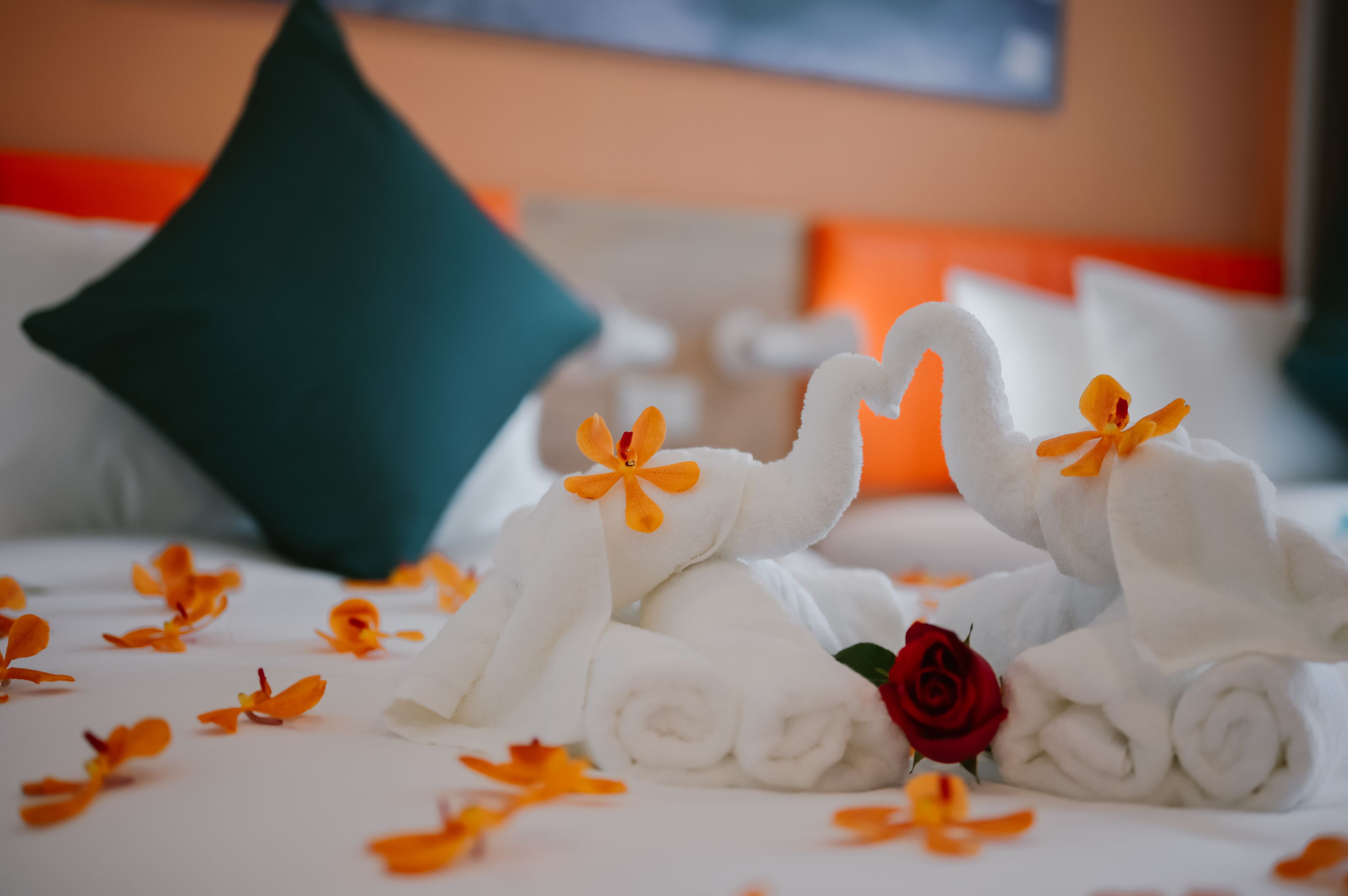 in-room safe, desk, blackout curtains, soundproofing