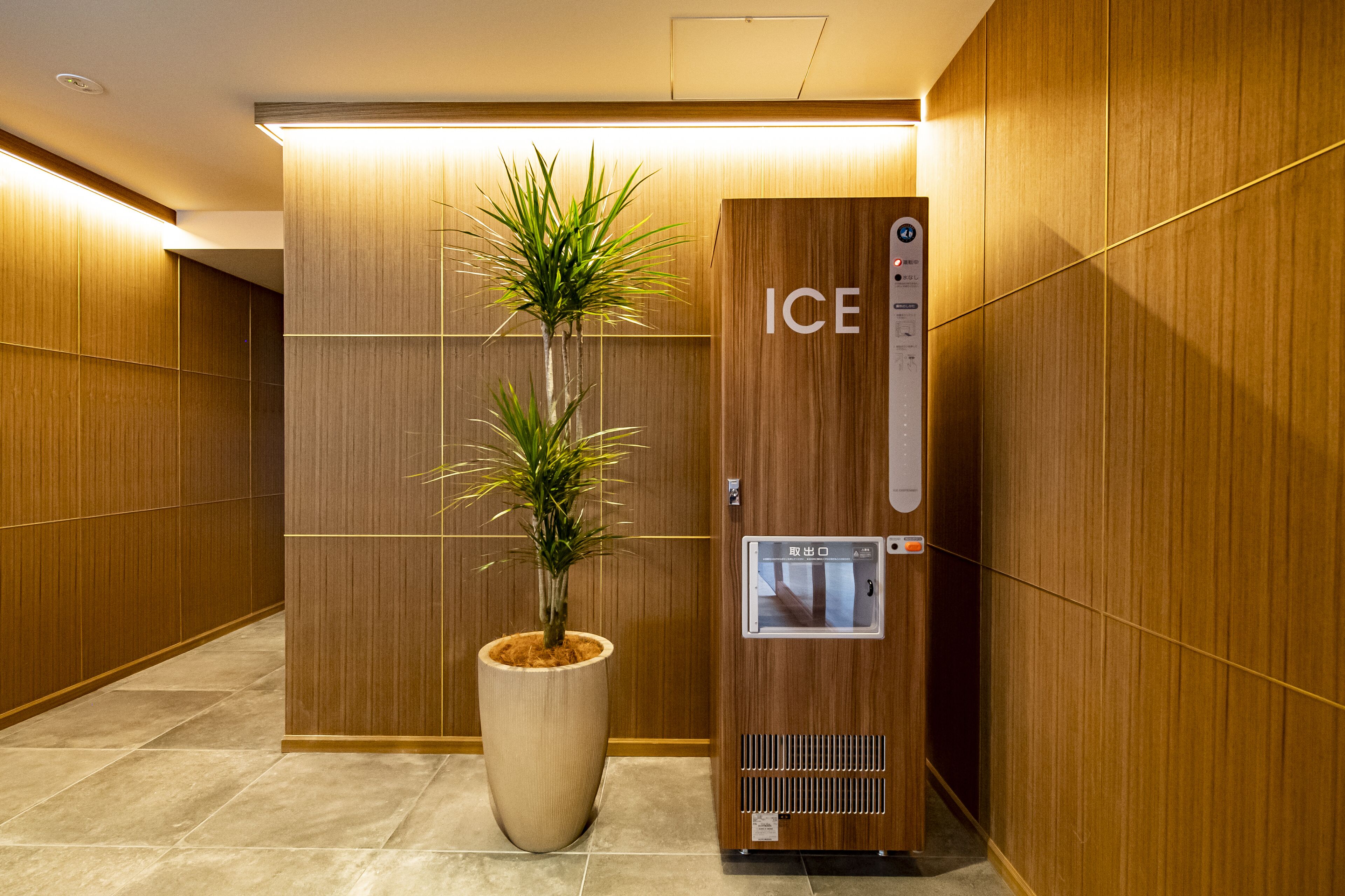 A modern elevator with a wooden finish and the word "ICE" on the side, next to a large potted plant.