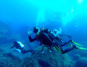 A diver underwater with a scuba mask and fins, surrounded by marine life and underwater vegetation.