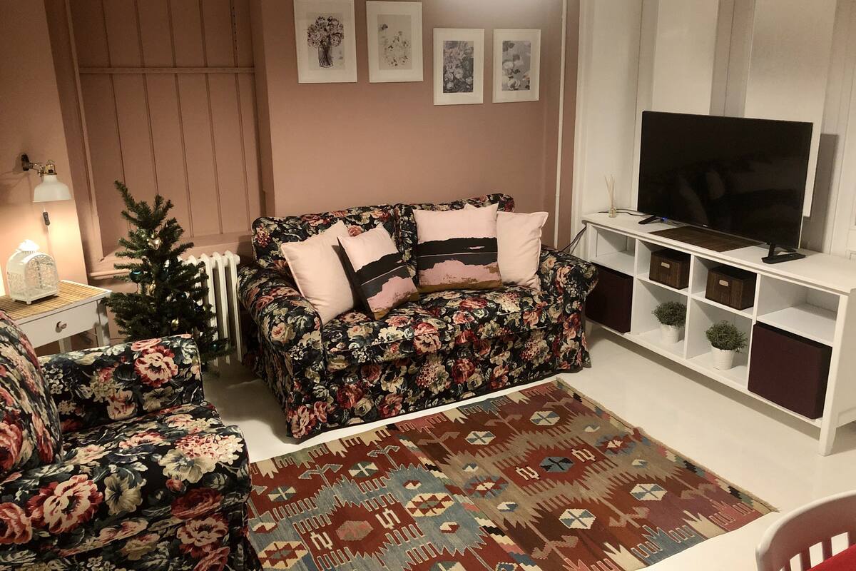Uma sala de estar com um sofá estampado, uma televisão, um pequeno pinheiro de Natal e um tapete padronizado.