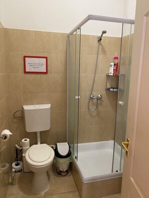Habitación básica doble | Baño | Ducha, secador de pelo, toallas y jabón
