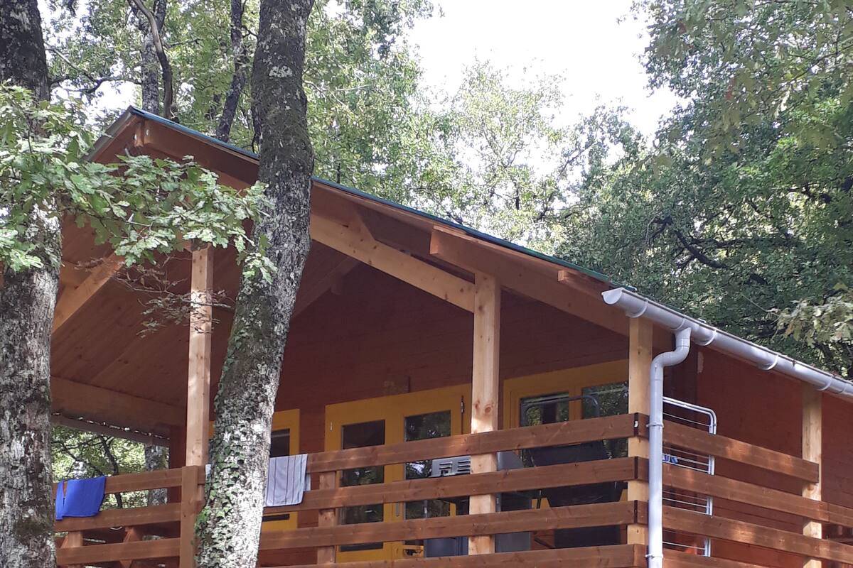 A wooden cabin with a covered porch, surrounded by trees and a leaf-covered ground.