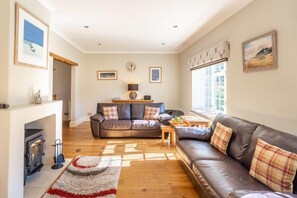 Fernseher, Kamin, Bücher