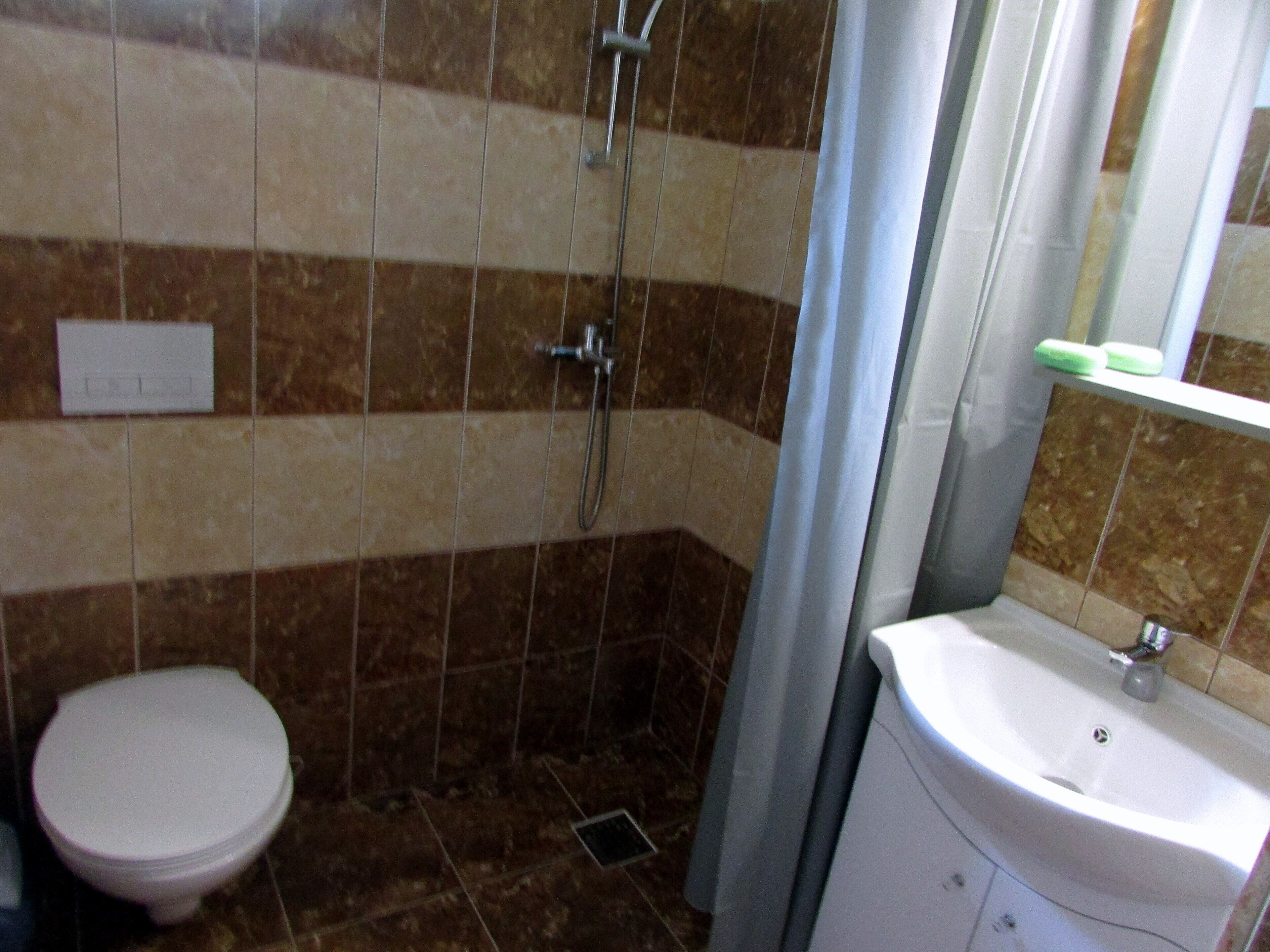 A bathroom with a toilet, shower, and sink.