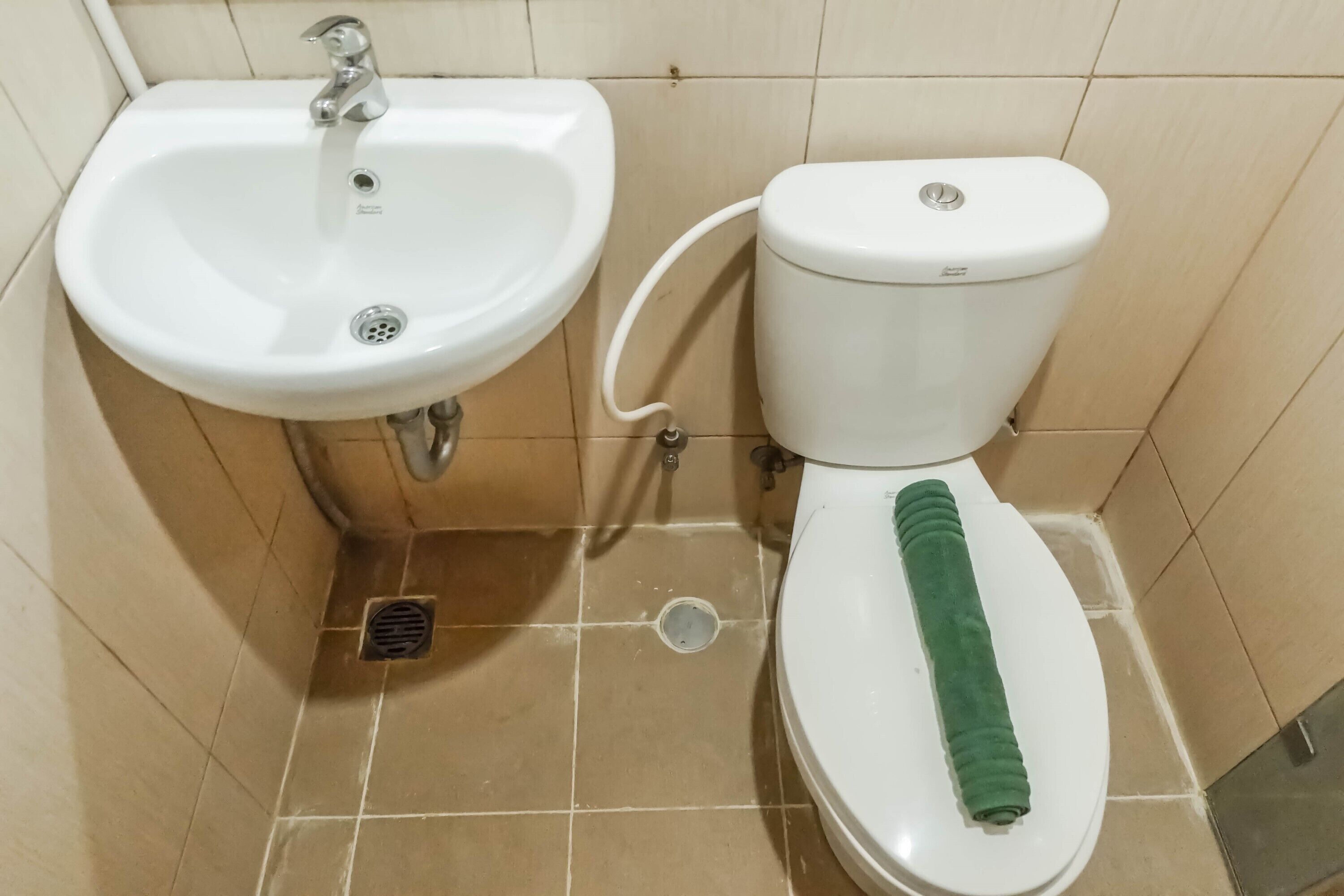 A bathroom with a white sink, toilet, and green toilet paper roll.