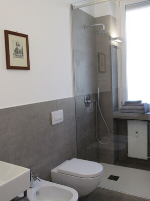 Regadera, secadora de cabello, bidet, toallas 