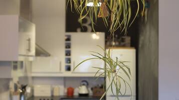 Apartment, 2 Bedrooms | Private kitchen | Full-sized fridge, oven, stovetop, coffee/tea maker