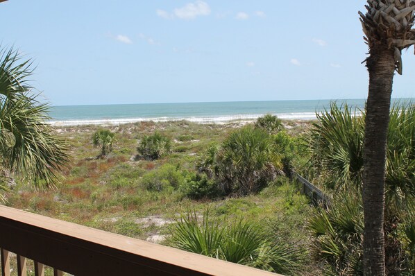 Exterior - Hibiscus B203 (St. Augustine)