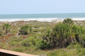 Beach nearby - Hibiscus B203 (St. Augustine)