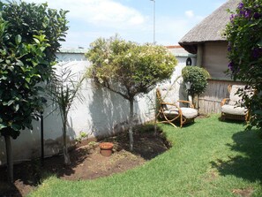 Garden - Orlando West Guest House - Hostel (Soweto)