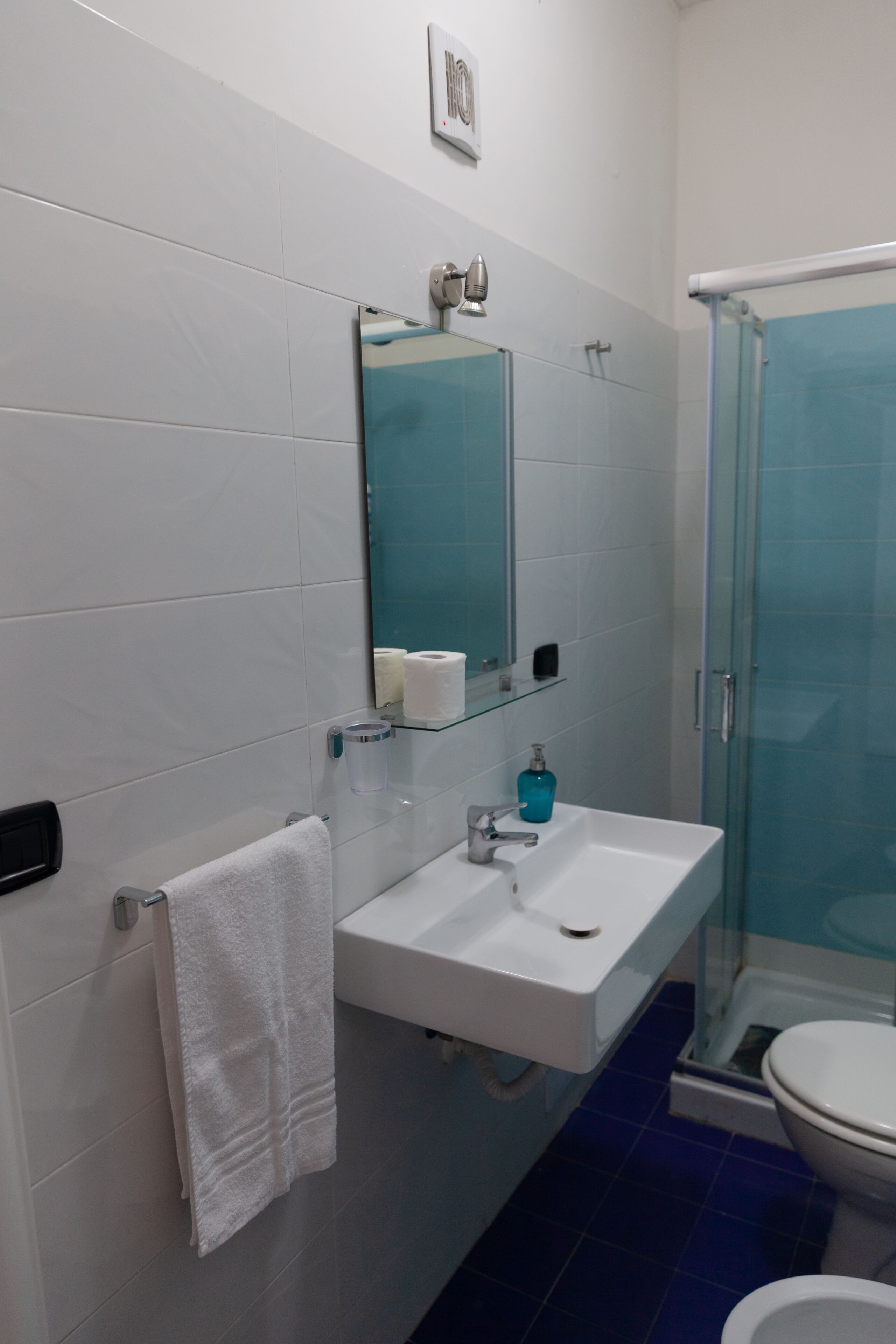 Hair dryer, towels, toilet paper